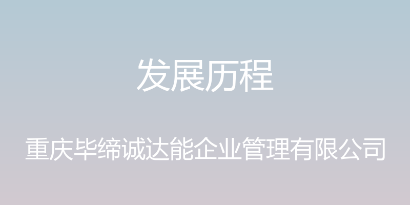 发展历程 - 重庆毕缔诚达能企业管理有限公司