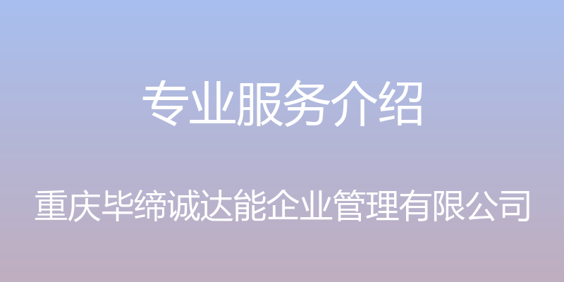 专业服务介绍 - 重庆毕缔诚达能企业管理有限公司