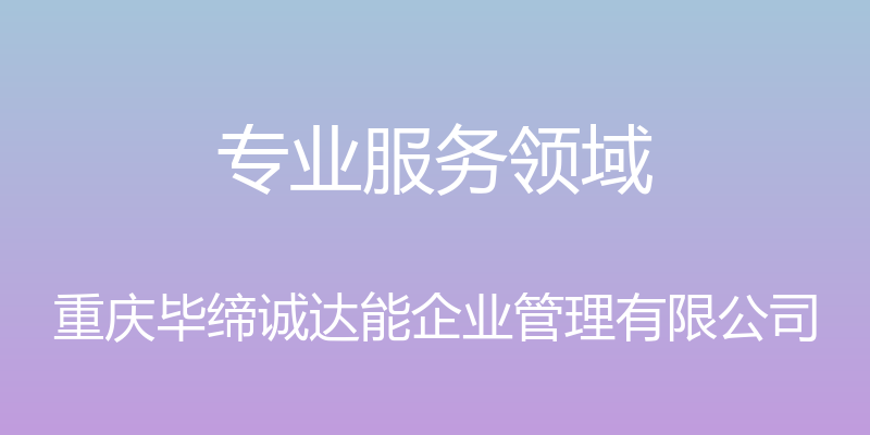 专业服务领域 - 重庆毕缔诚达能企业管理有限公司