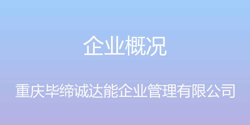 企业概况 - 重庆毕缔诚达能企业管理有限公司